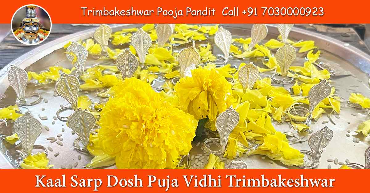 Kaal Sarp Dosh Puja Vidhi Trimbakeshwar