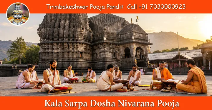 Kala Sarpa Dosha Nivarana Pooja
